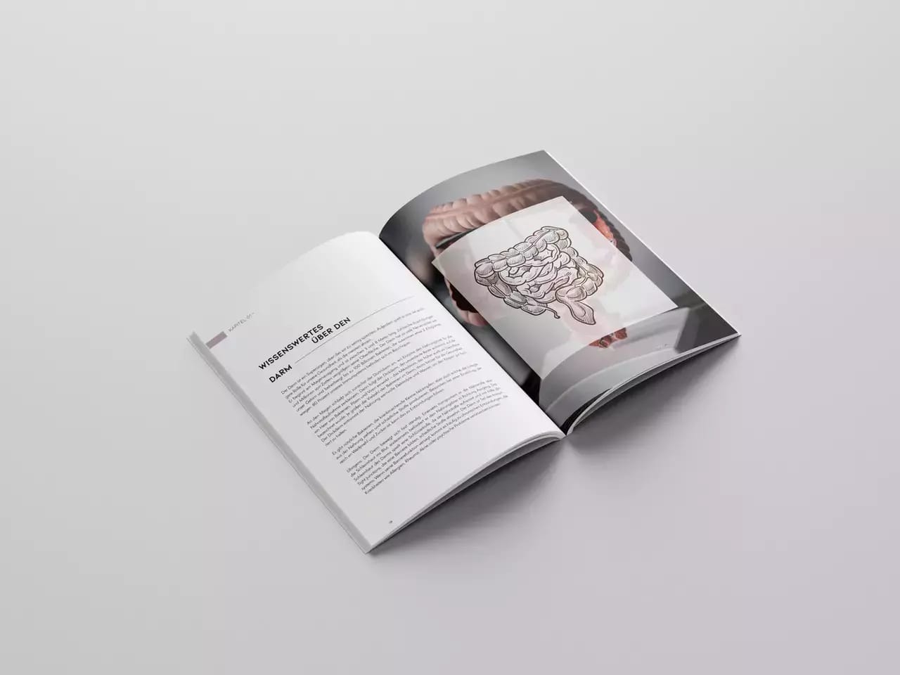 Bundle Image