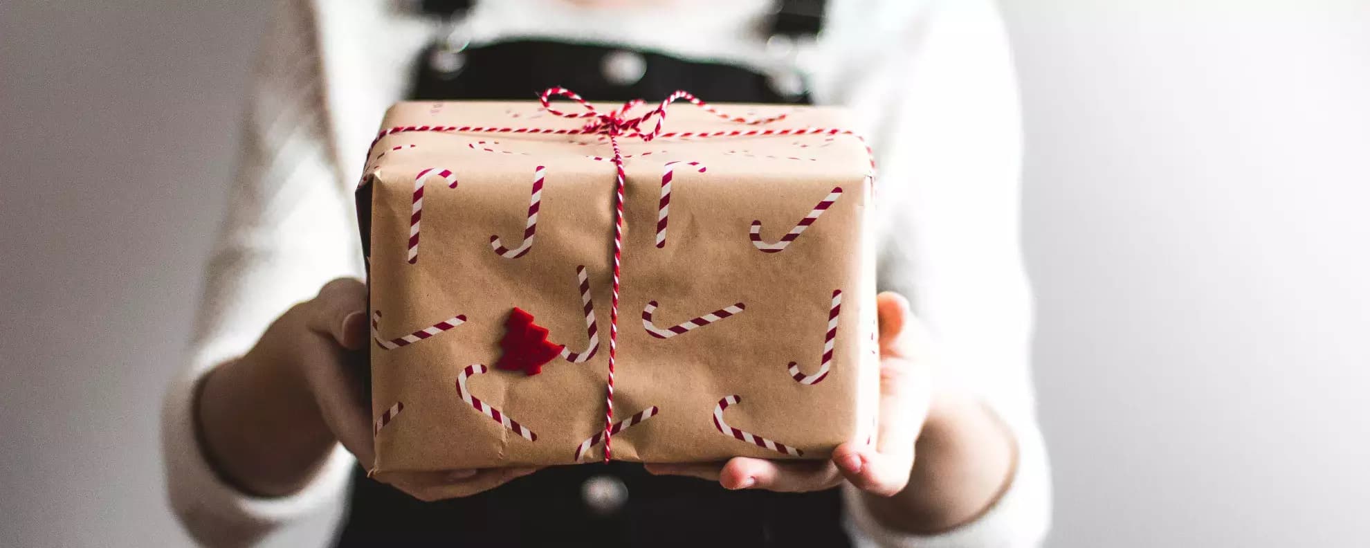 Das perfekte Weihnachtsgeschenk für Frauen: Verschenke Wissen und spannende Unterhaltung