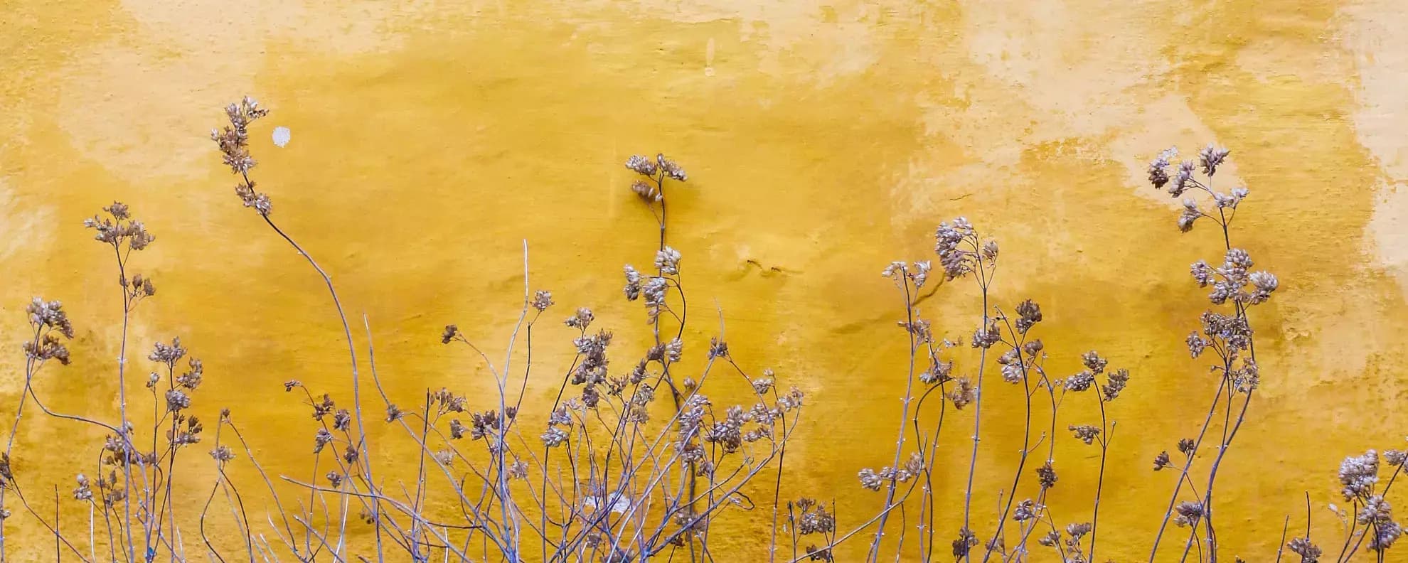 Schöne Sprüche über das Leben